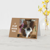 *IK VLIEG OVER JE* OP HET BIRTHDAY SHOW U HOEVEEL KAART (Gele Bloem)