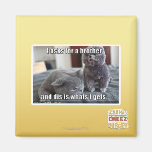 Ik vraag om een broer magneet