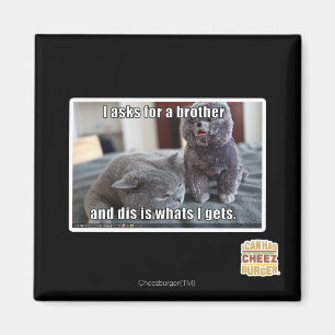 Ik vraag om een broer magneet