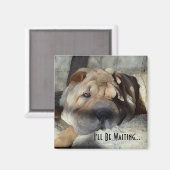 Ik wacht op je magneet (Voorkant / Achterkant)