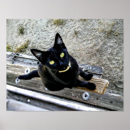 Ik wacht poster (Voorkant)