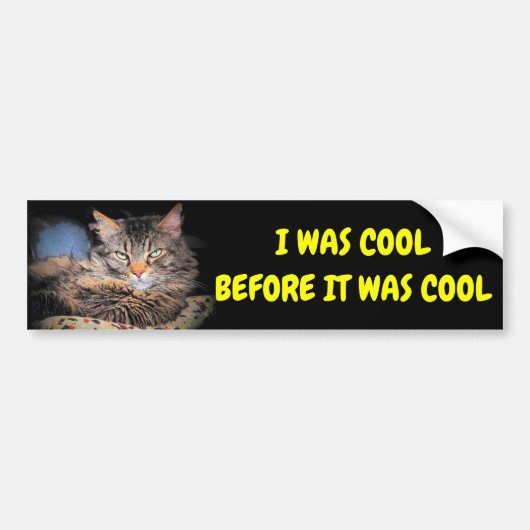 Ik was cool voordat het coole kat meme was bumpersticker (Voorkant)