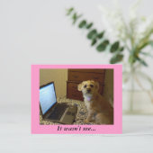 Ik was het niet... Briefkaart (Staand voorkant)