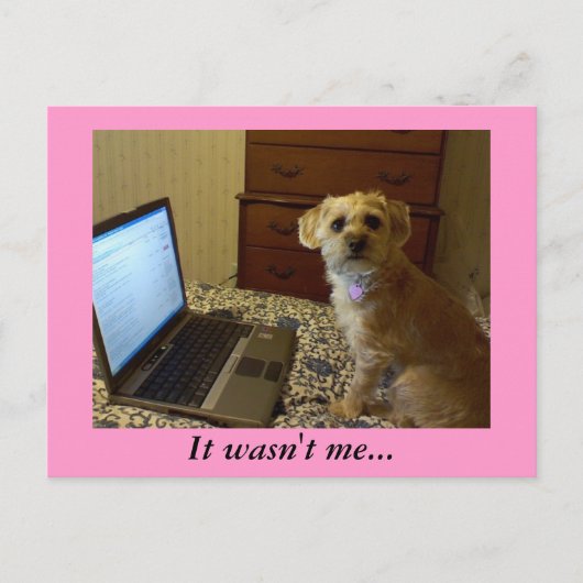 Ik was het niet... Briefkaart (Voorkant)