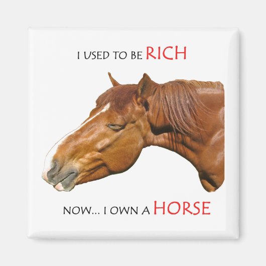 Ik was vroeger rijk magneet (Voorkant)