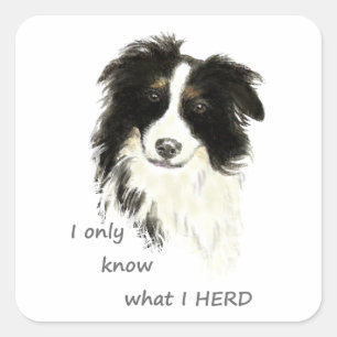 Ik weet alleen wat ik Rand Collie Dog Quote betaal Vierkante Sticker