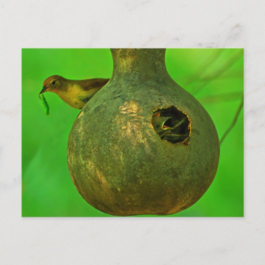 Ik weet dat je hier bent. briefkaart (Voorkant)