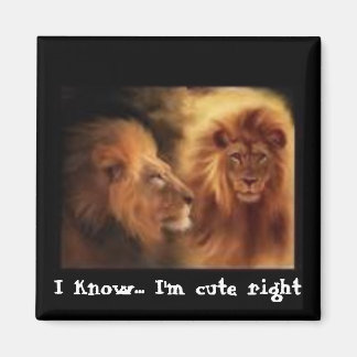 Ik weet het... Ik ben schattig Magneet