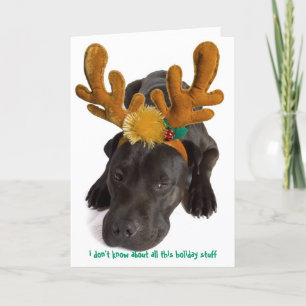 ik weet niet van al die vakantie dingen feestdagen kaart