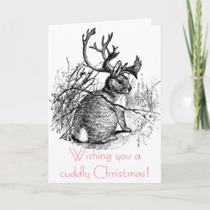Ik wens je een knuffelige kerst! feestdagen kaart