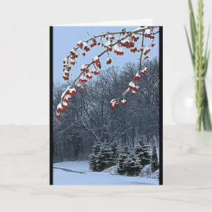 Ik wens je een mooi kerstseizoen! feestdagen kaart