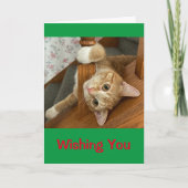 Ik wens u Meowy Kerstmis! Kaart (Voorkant)