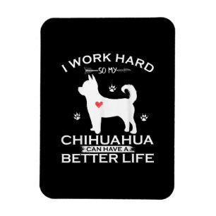 Ik werk hard zodat mijn Chihuahua Dog een betere Magneet