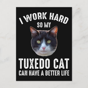 Ik werk hard zodat mijn Tuxedo Cat beter kan leven Briefkaart