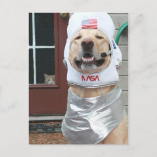 Ik wil Afbeeldingen nemen Briefkaart