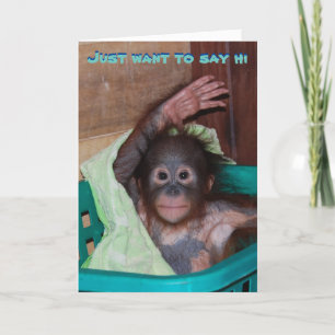 Ik wil alleen maar zeggen: geil Orangutan Kaart