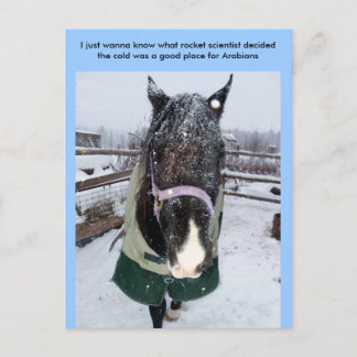 Ik wil alleen weten wat raketsci... briefkaart