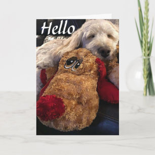 **IK WIL ALLEEN ZEGGEN DAT IK VAN JE hou** Kaart