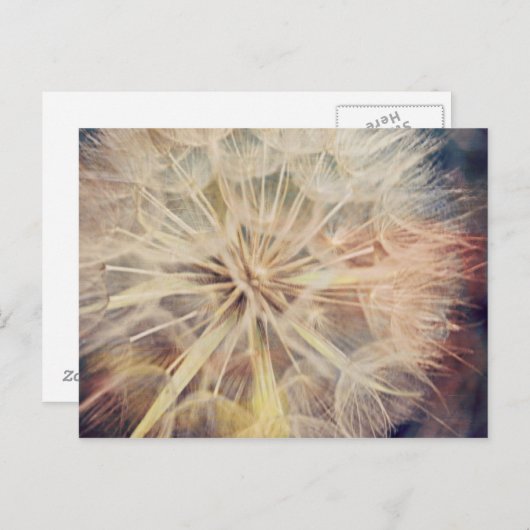 Ik wil... -Briefkaart Briefkaart (Voorkant / Achterkant)