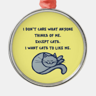 Ik wil dat Katten mij aardig vinden in Metal Ornam Metalen Ornament