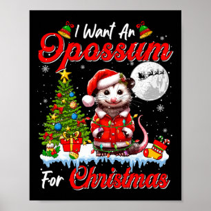 Ik wil een opossum voor kerst Schattigee Santa Sun Poster