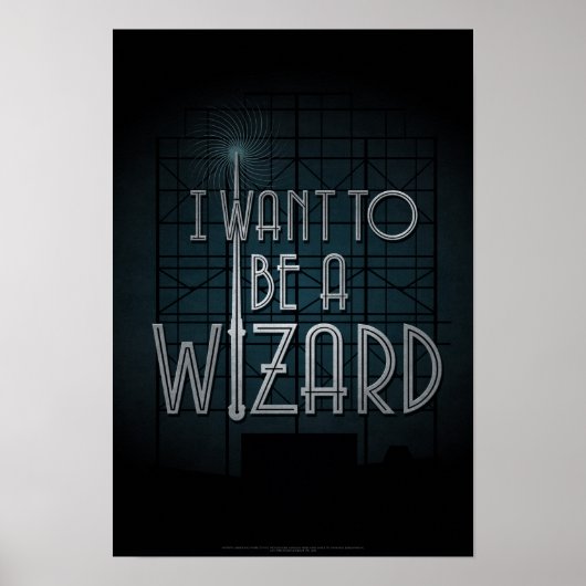 Ik wil een wizard worden poster (Voorkant)