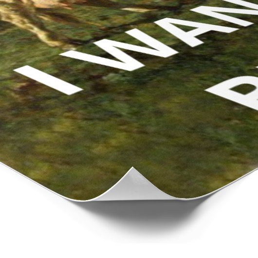 Ik wil geloven, film retro 90s, buitenaardse ufo poster (Hoek)