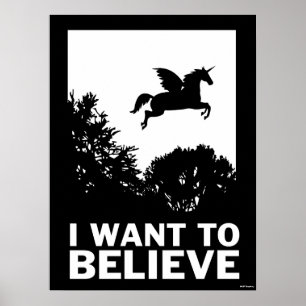 Ik wil geloven poster