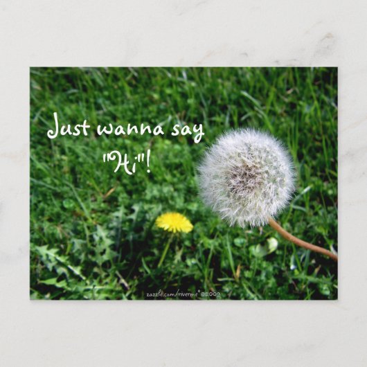 Ik wil gewoon zeggen: "Hoi". Dandelions Greetings Briefkaart (Voorkant)