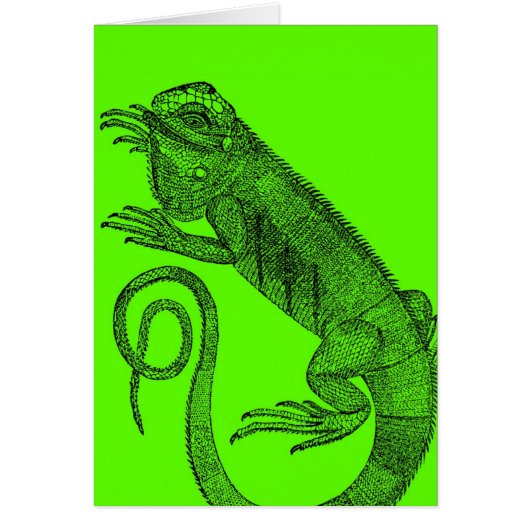 Ik wil Iguana (Voorkant)