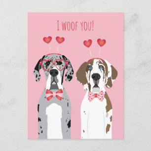 Ik wil jullie grote daanhonden roze rood briefkaart