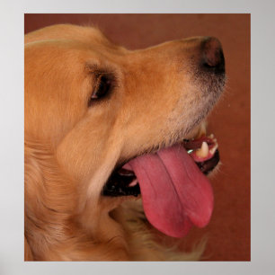 Ik wil nog steeds meer... poster