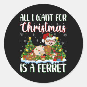 Ik wil voor Kerstmis is een fret kerstboom lichten Ronde Sticker