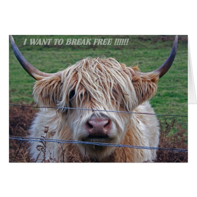 Ik wil vrij breken (Voorkant Horizontaal)