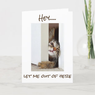 IK WIL ZEGGEN **HAPPY BIRTHDAY* AAN "U" NU!!!! KAART