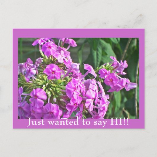 Ik wilde alleen maar zeggen. Briefkaart (Voorkant)