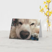 IK WOU DAT IK JE KON ZIEN VOOR JE VERJAARDAG KAART (Gele Bloem)