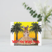 Ik wou dat je hier in het briefkaart was (Staand voorkant)