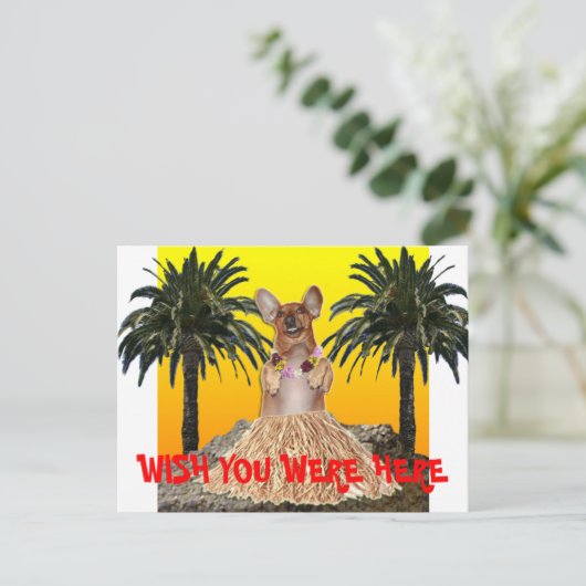 Ik wou dat je hier in het briefkaart was (Staand voorkant)