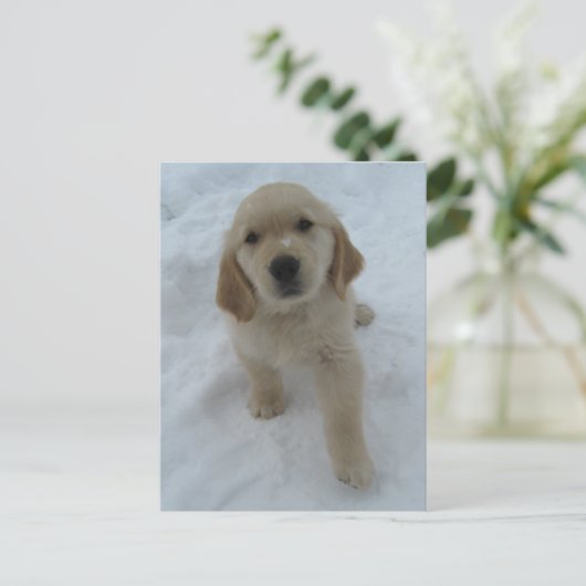 Ik wou dat je hier was briefkaart (Staand voorkant)