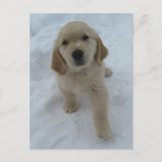 Ik wou dat je hier was briefkaart