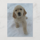 Ik wou dat je hier was briefkaart (Voorkant)