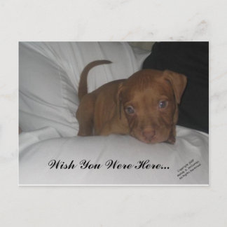 Ik wou dat je hier was... briefkaart