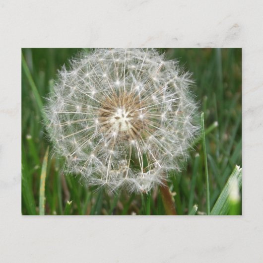 Ik wou dat je hier was briefkaart (Voorkant)