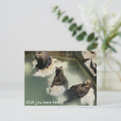 Ik wou dat je hier was briefkaart (Staand voorkant)