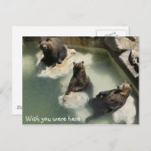 Ik wou dat je hier was briefkaart (Voorkant / Achterkant)