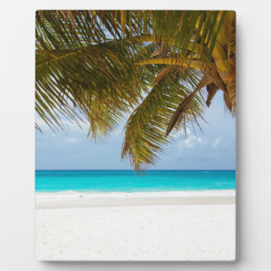 Ik wou dat je hier was! fotoplaat