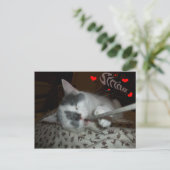 Ik WUV Mijn Koord Briefkaart (Staand voorkant)