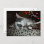 Ik WUV Mijn Koord Briefkaart (Voorkant / Achterkant)