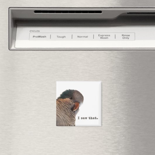 Ik zag dat magneet (Insitu (Vaatwasser))